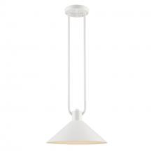 Trans Globe 11761 WH - 1LT PENDANT-12' DOUBLE ROD-WH